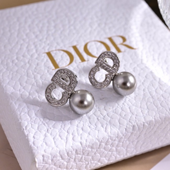 Dior Earrings CE15422