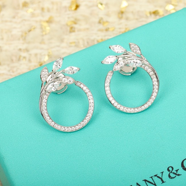 TIFFANY Earrings CE15415