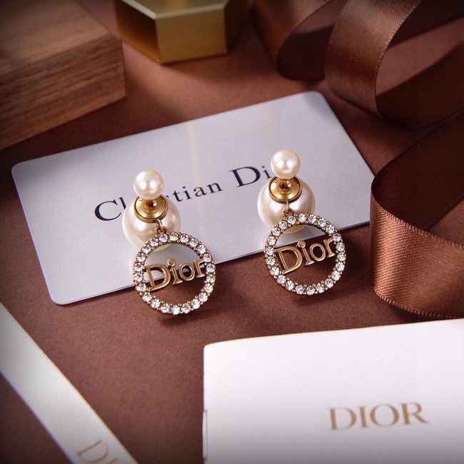 Dior Earrings CE15499