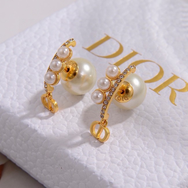 Dior Earrings CE15501