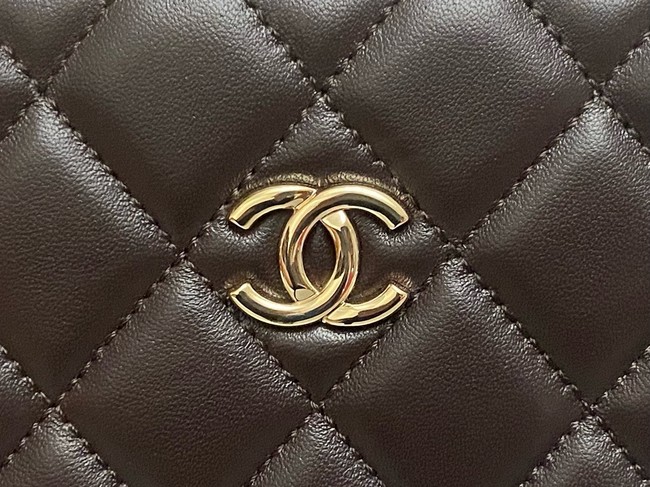 CHANEL BOX BAG AS5168 Dark Brown