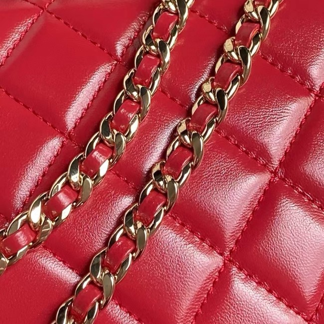 Chanel CAMERA CASE AS5222 red