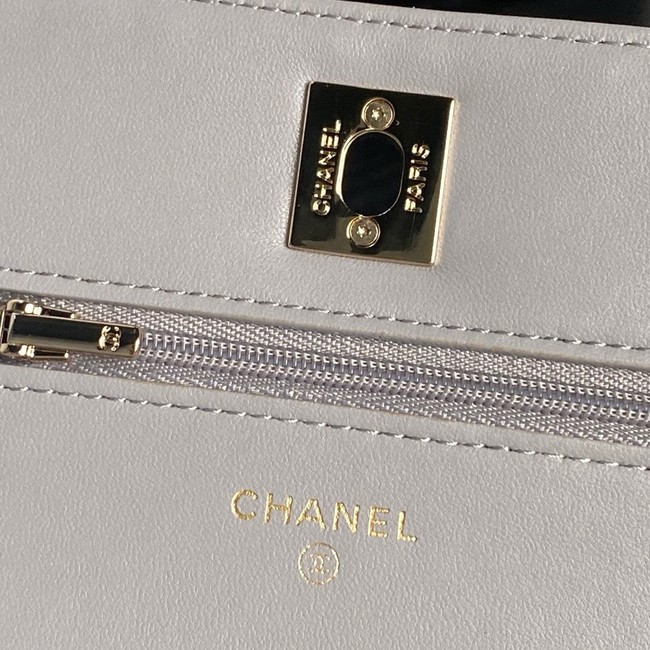 Chanel WALLET ON CHAIN AP4299 gray