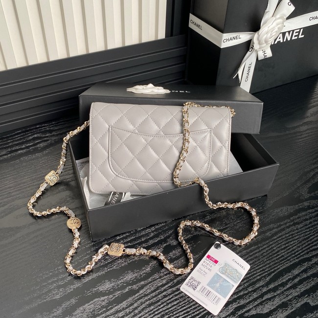 Chanel WALLET ON CHAIN AP4299 gray