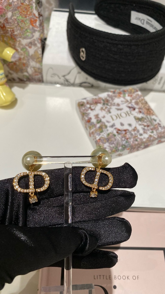 Dior Earrings CE15547