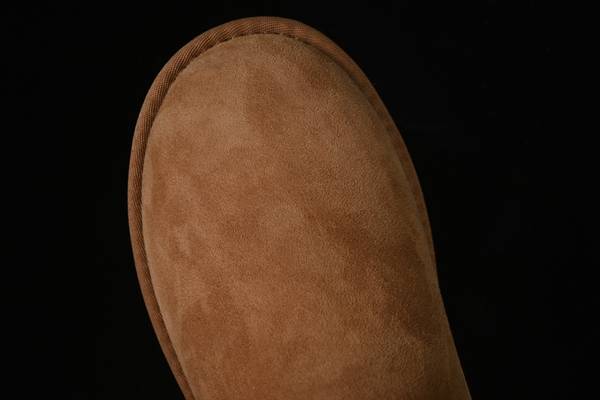 UGG Shoes UGS00041