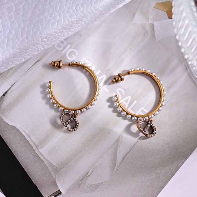 Dior Earrings CE15584