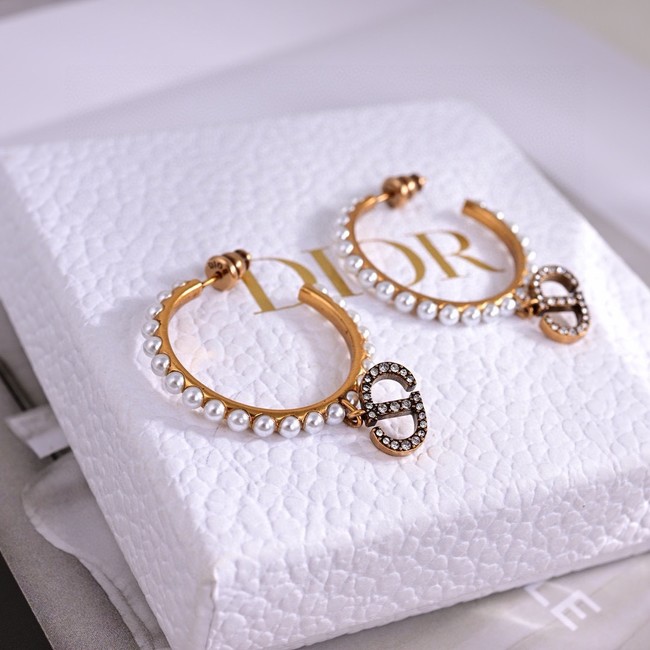 Dior Earrings CE15584