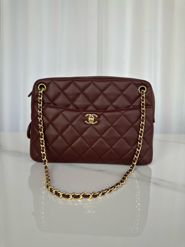 Chanel CAMERA CASE AS5187 Dark Brown