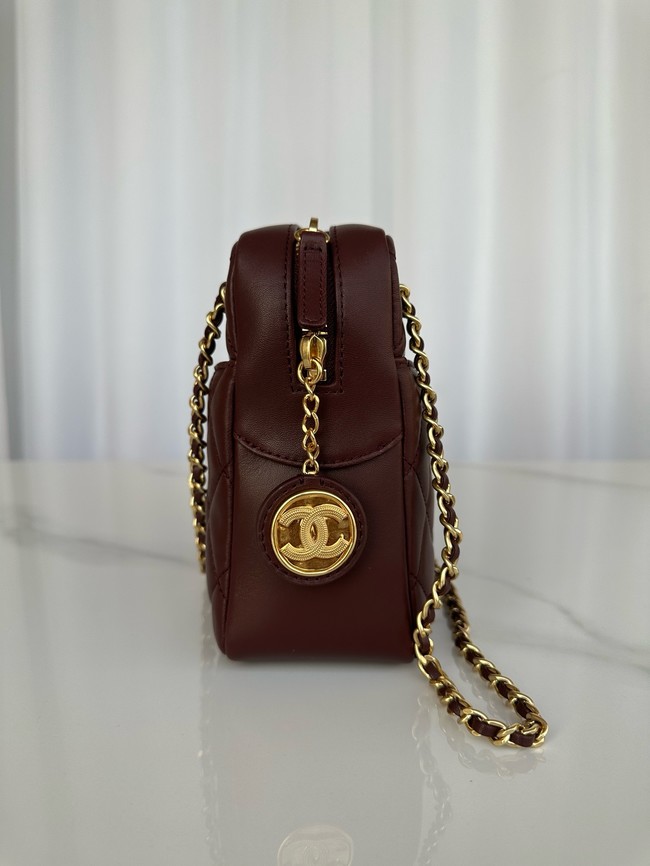 Chanel CAMERA CASE AS5187 Dark Brown