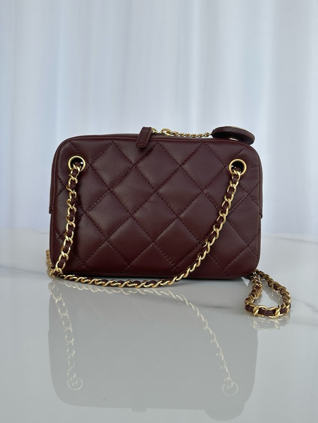 Chanel MINI CAMERA CASE AS5190 Dark Brown