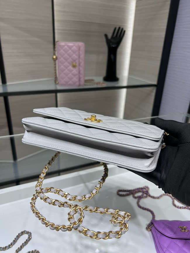 Chanel CLASSIC WALLET ON CHAIN AP1450 gray