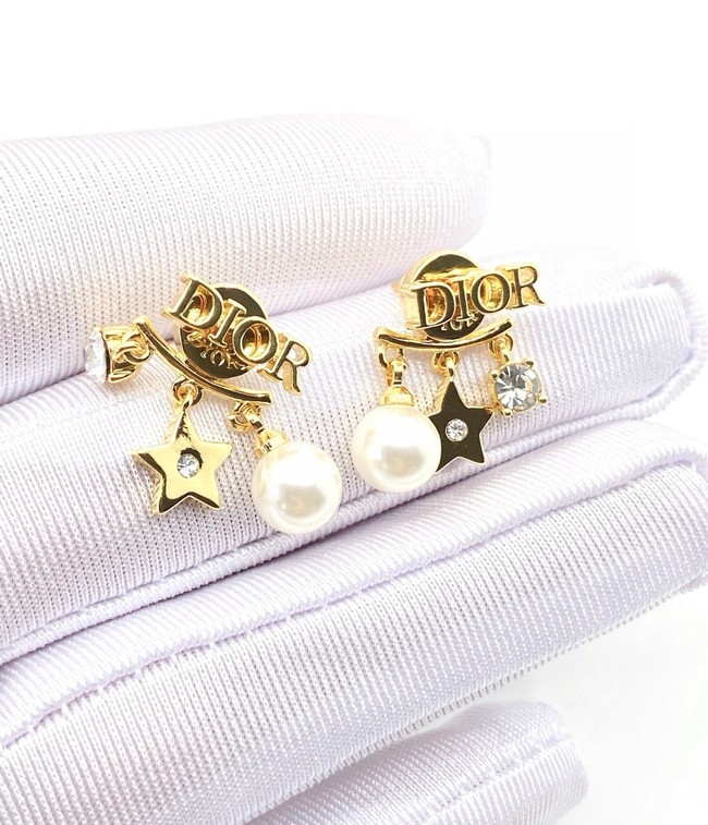 Dior Earrings CE15609