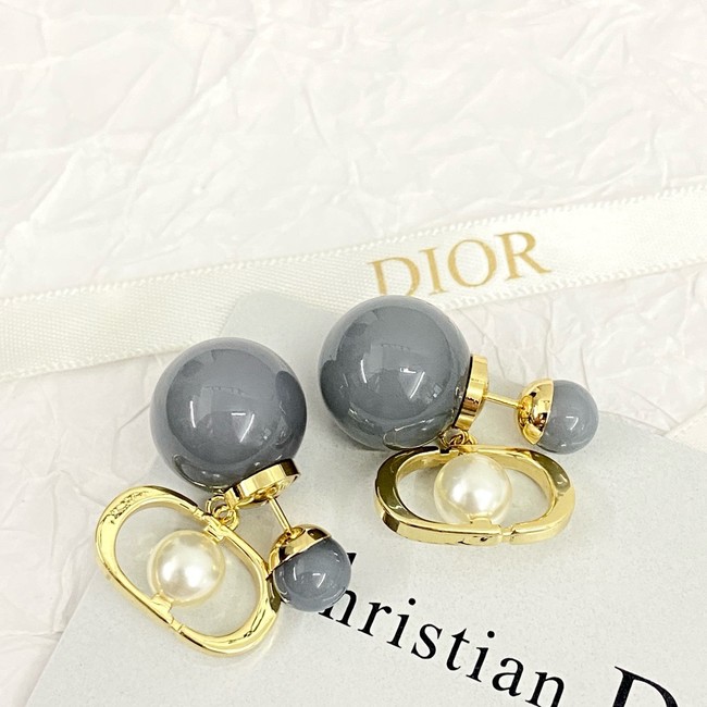 Dior Earrings CE15618