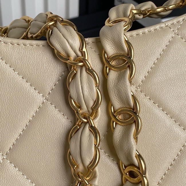 Chanel HOBO HANDBAG AS5177 Apricot