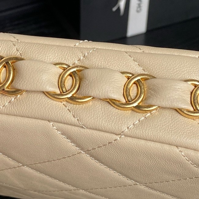 Chanel HOBO HANDBAG AS5177 Apricot