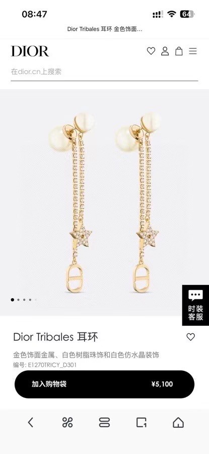 Dior Earrings CE15668