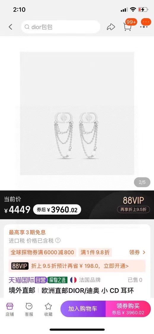 Dior Earrings CE15669