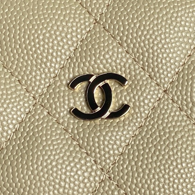 Chanel HOBO HANDBAG AP4386 Apricot