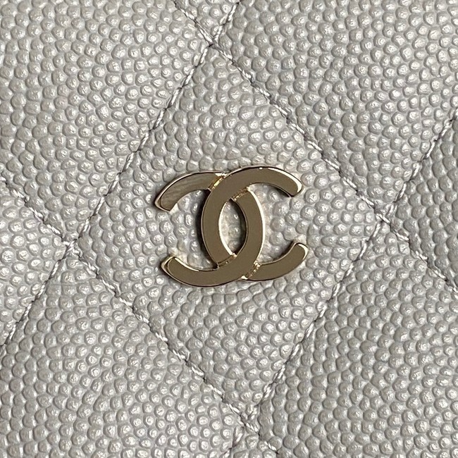 Chanel HOBO HANDBAG AP4386 gray