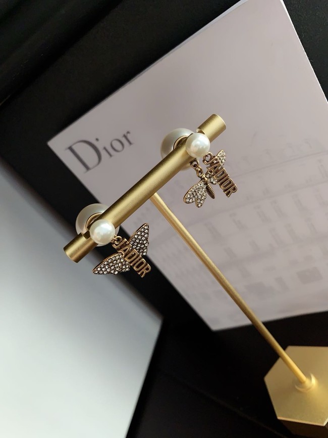 Dior Earrings CE15722