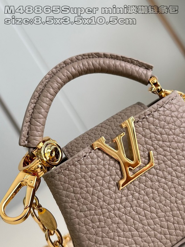 Louis Vuitton Capucines NANO M48865 gray