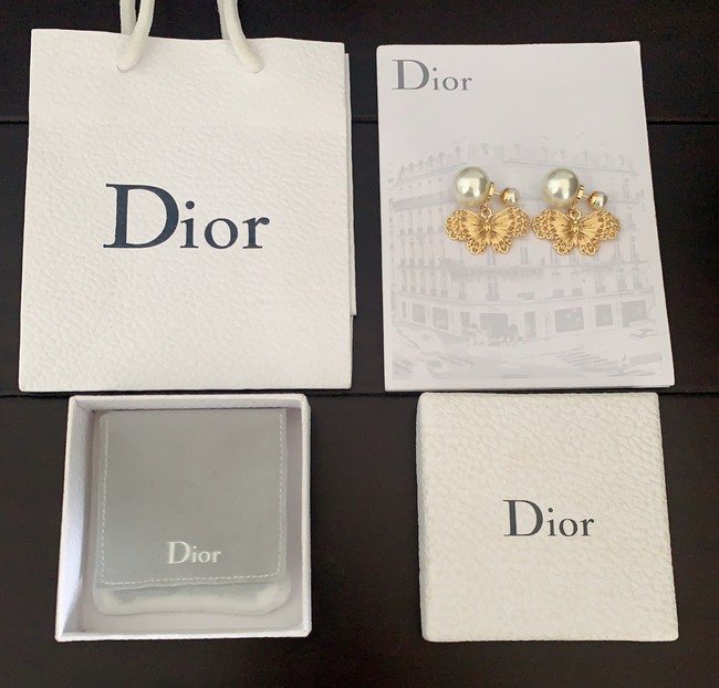 Dior Earrings CE15726