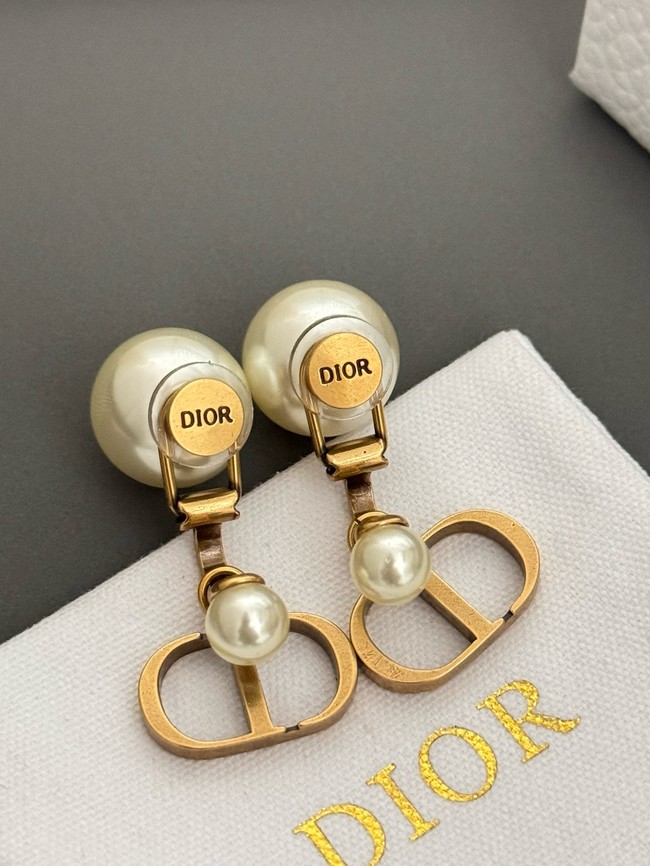 Dior Earrings CE15727