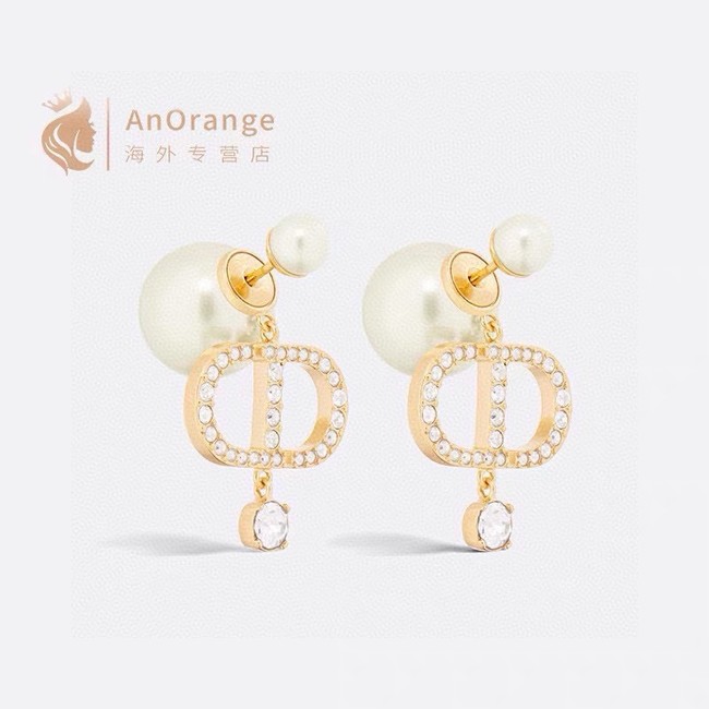 Dior Earring CE15799