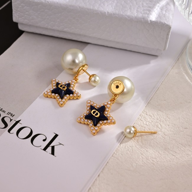 Dior Earring CE15818