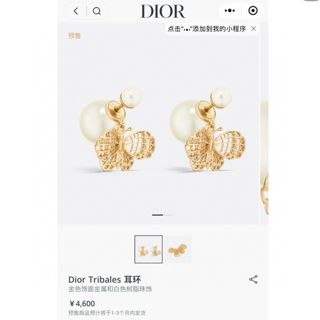 Dior Earring CE15821