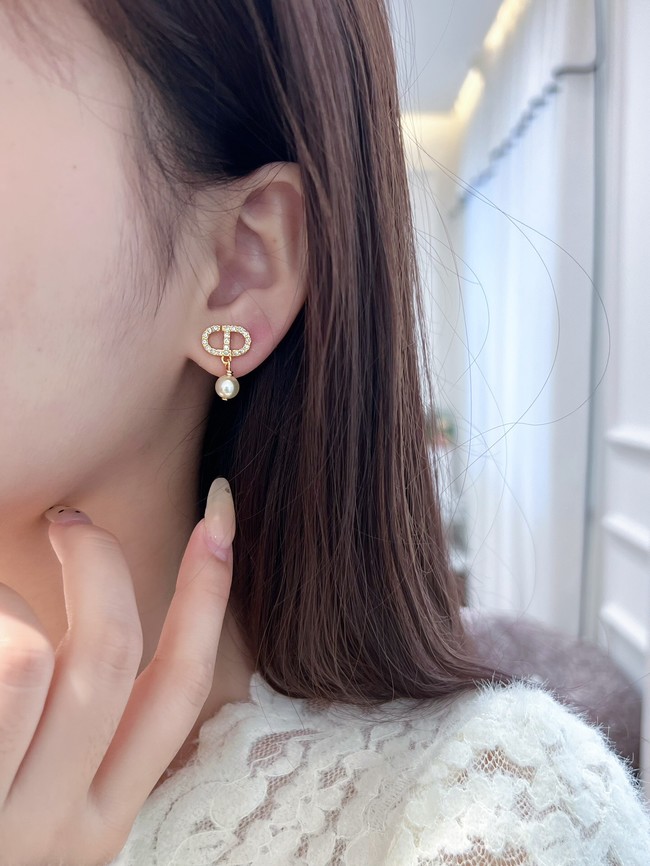 Dior Earring CE15921