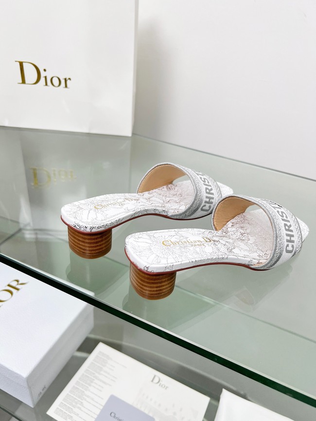 Dior shoes 55775-3