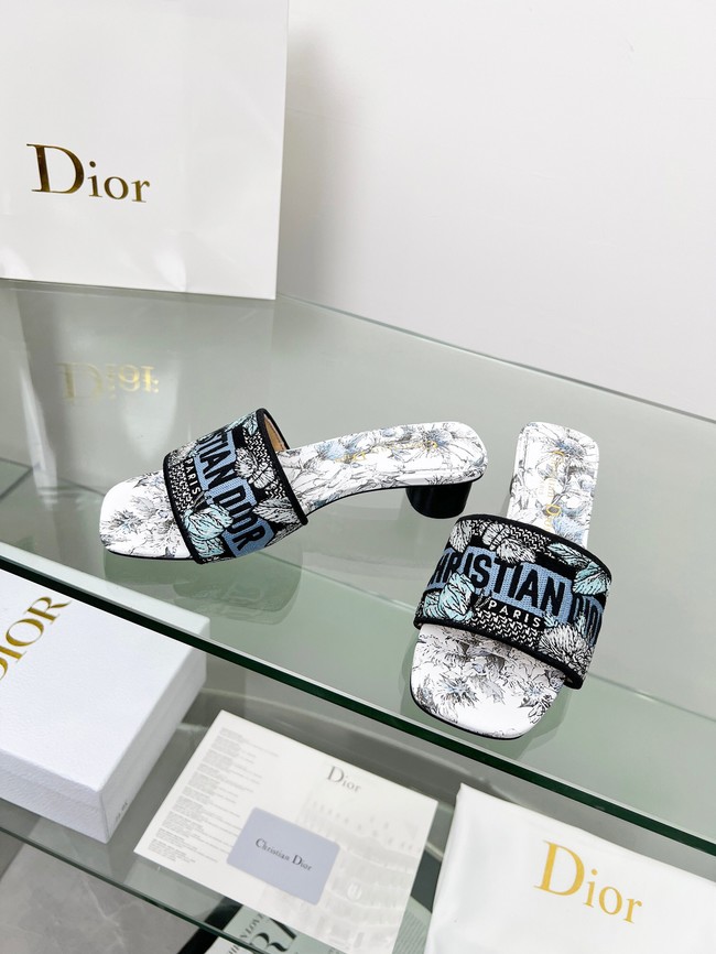 Dior shoes 55775-6