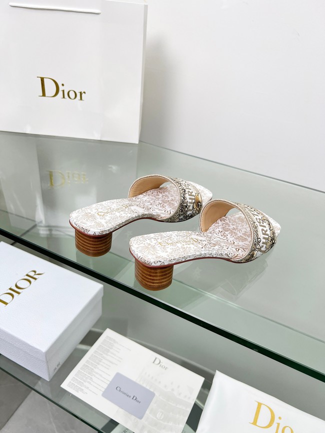 Dior shoes 55775-7