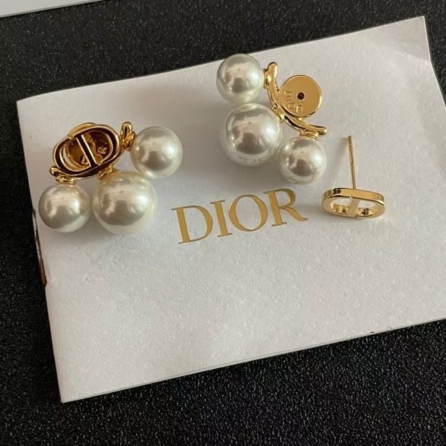 Dior Earring CE16057