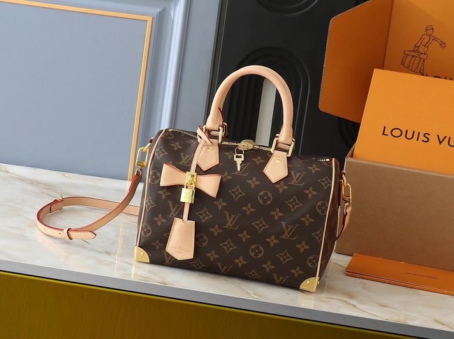 Louis Vuitton LV x TM Speedy Bandouliere 25 M13805