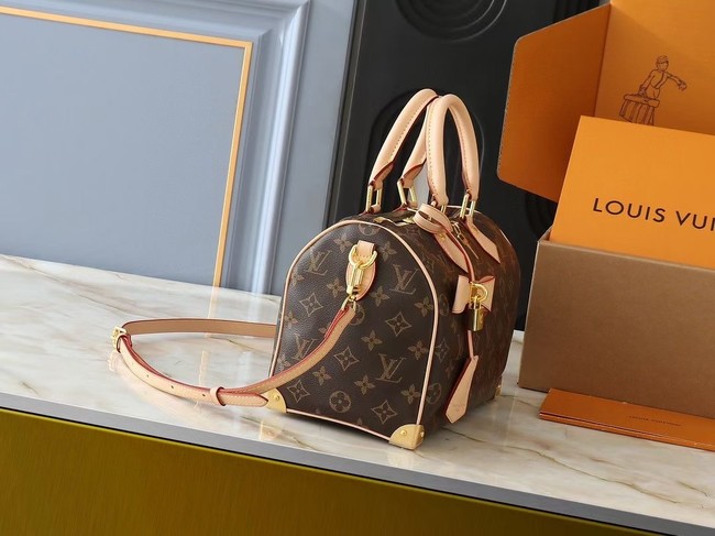 Louis Vuitton LV x TM Speedy Bandouliere 25 M13805