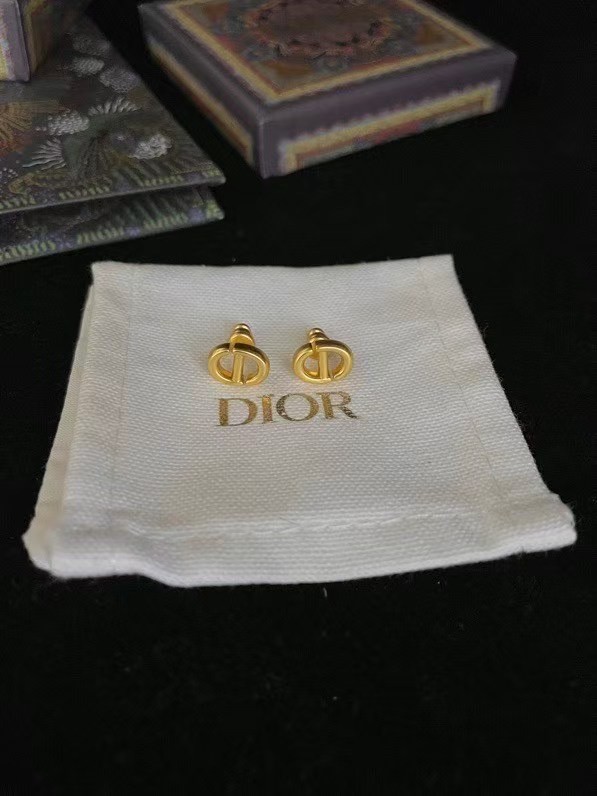 Dior Earring CE16076