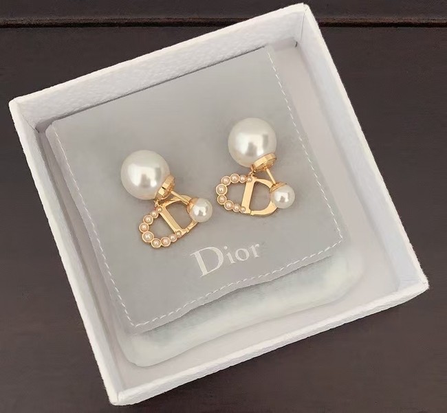 Dior Earring CE16082