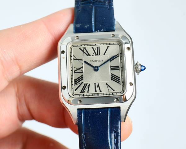 Cartier Watch CTW00751-1