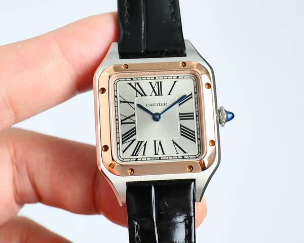 Cartier Watch CTW00751-2