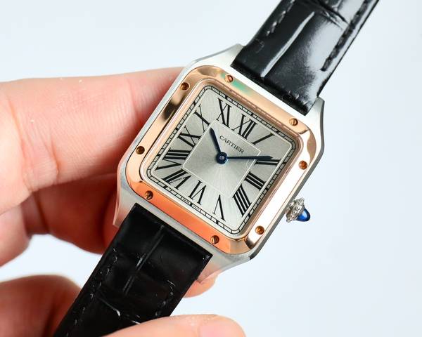 Cartier Watch CTW00751-2