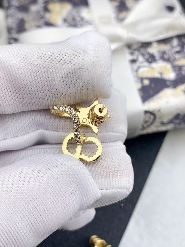 Dior Earring CE16116