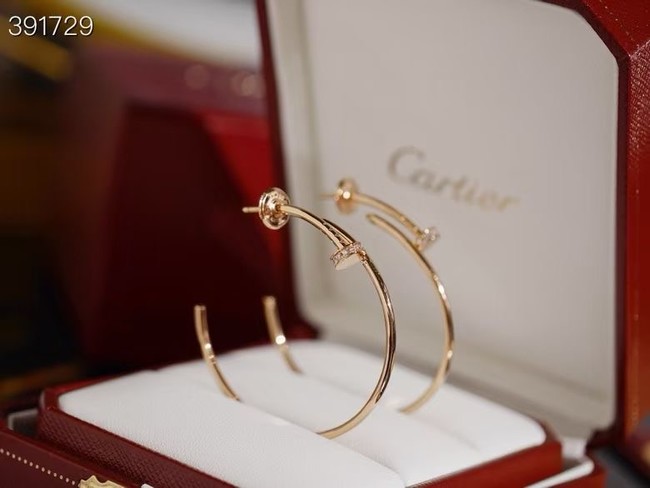 Cartier Earring CE16130