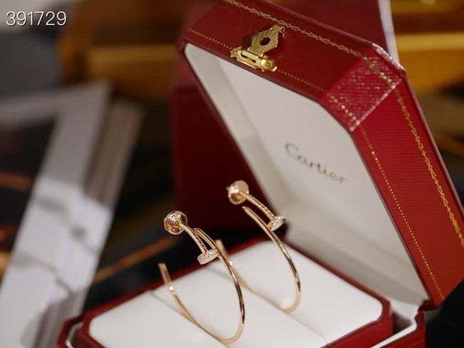 Cartier Earring CE16130