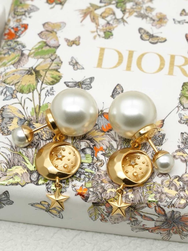 Dior Earring CE16190