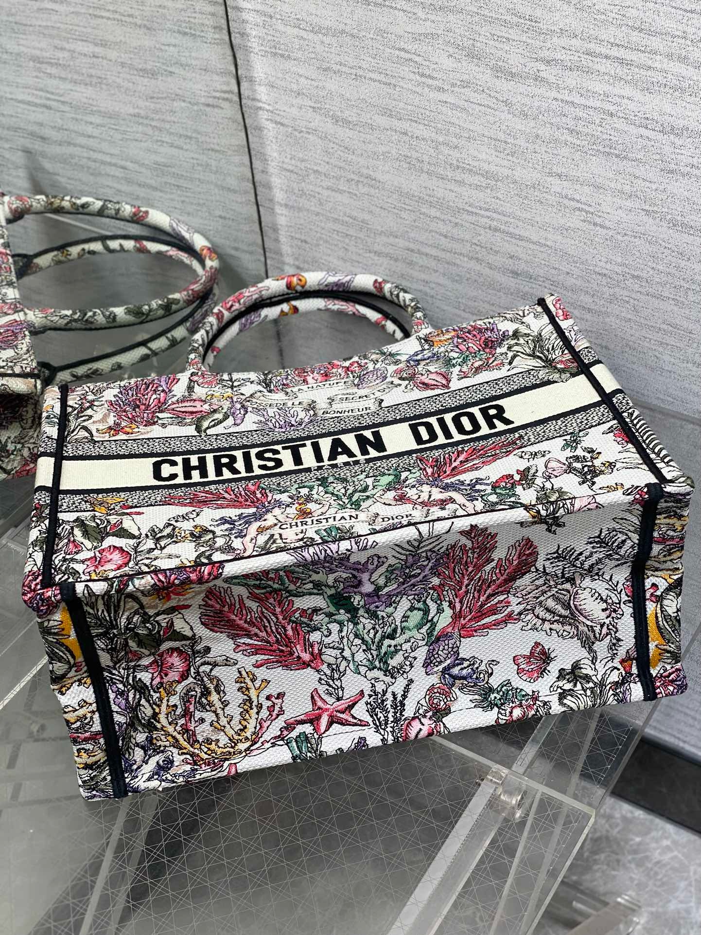 Dioramour Medium Dior Book Tote M1296ZEED Multicolor