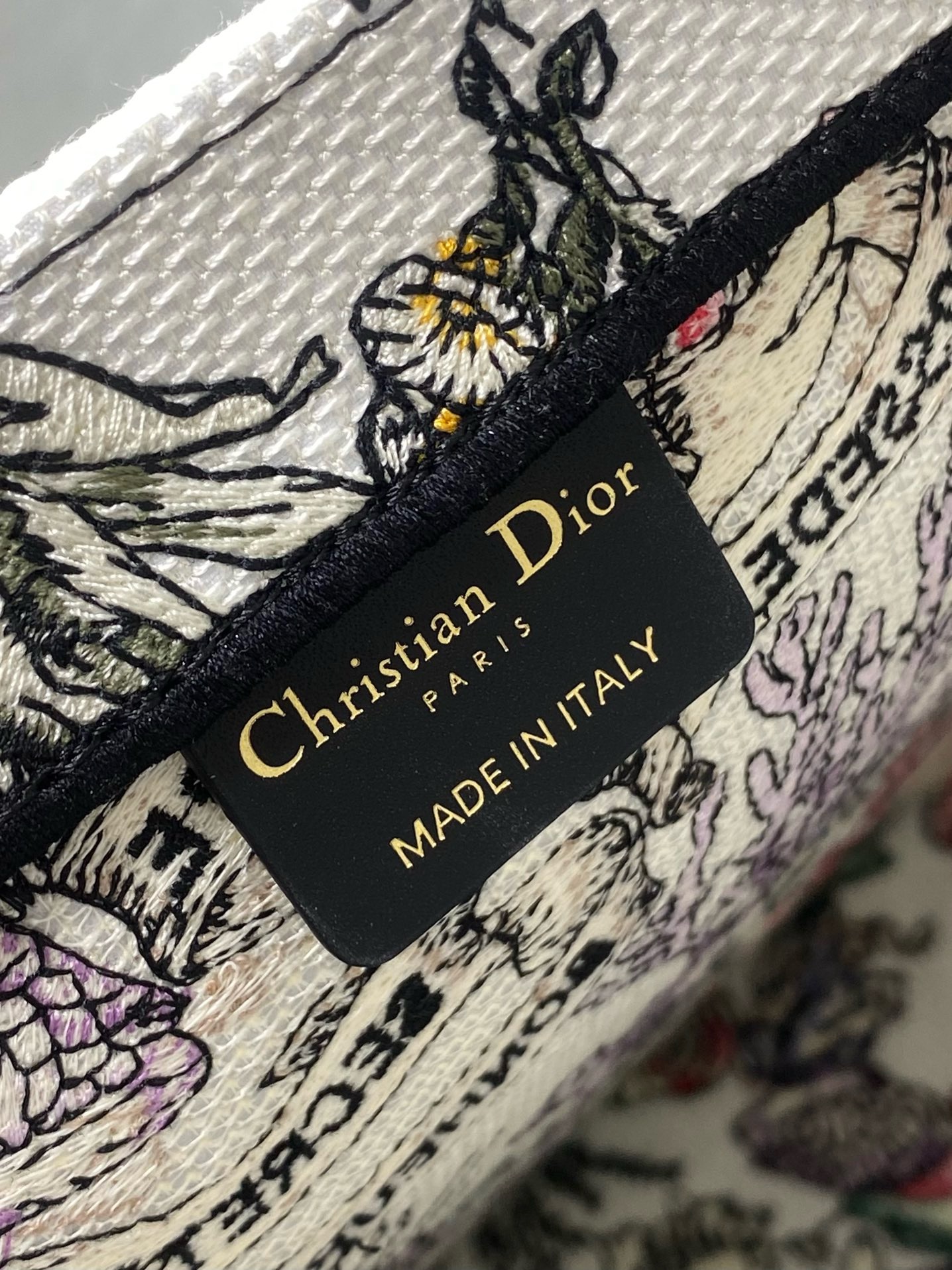 Dioramour Medium Dior Book Tote M1296ZEED Multicolor