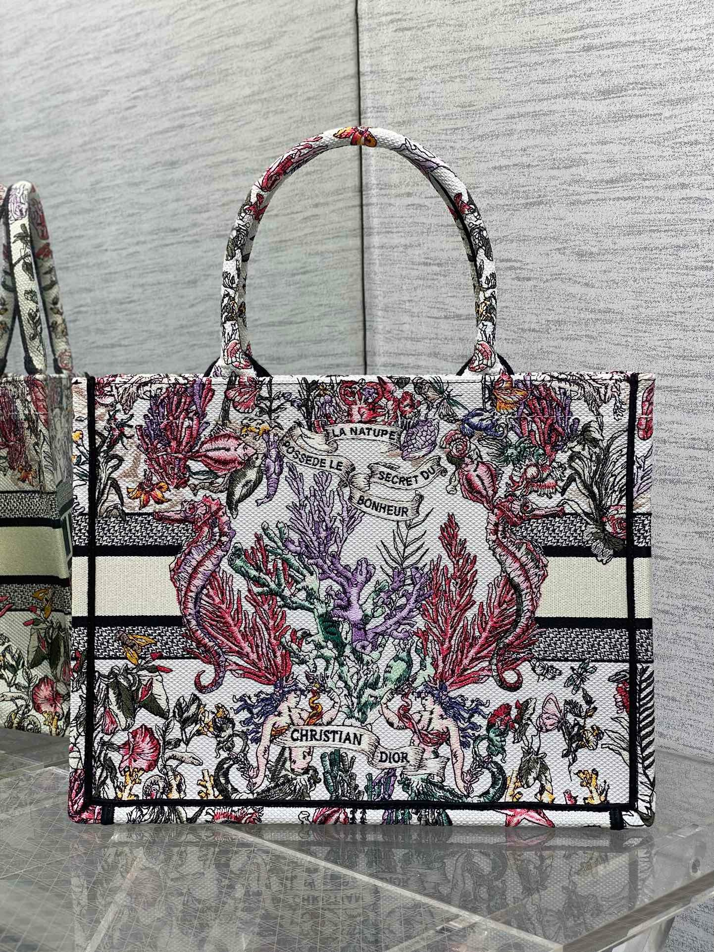 Dioramour Medium Dior Book Tote M1296ZEED Multicolor